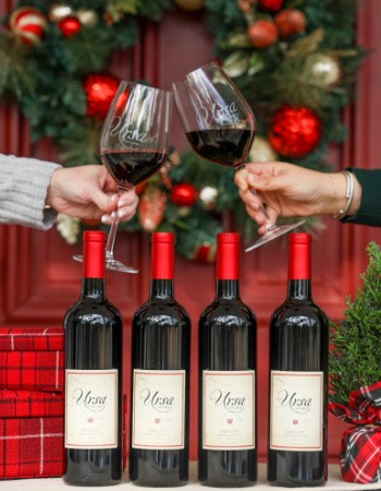 2019 Merlot Black Friday 4-Pack