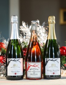 Sparkling Holiday 3-Pack